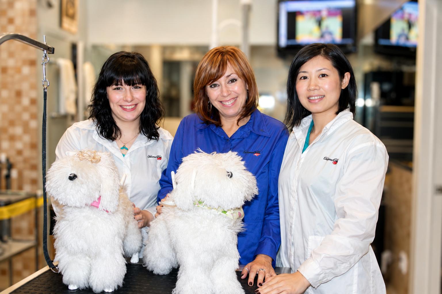 The Pampered Paws team