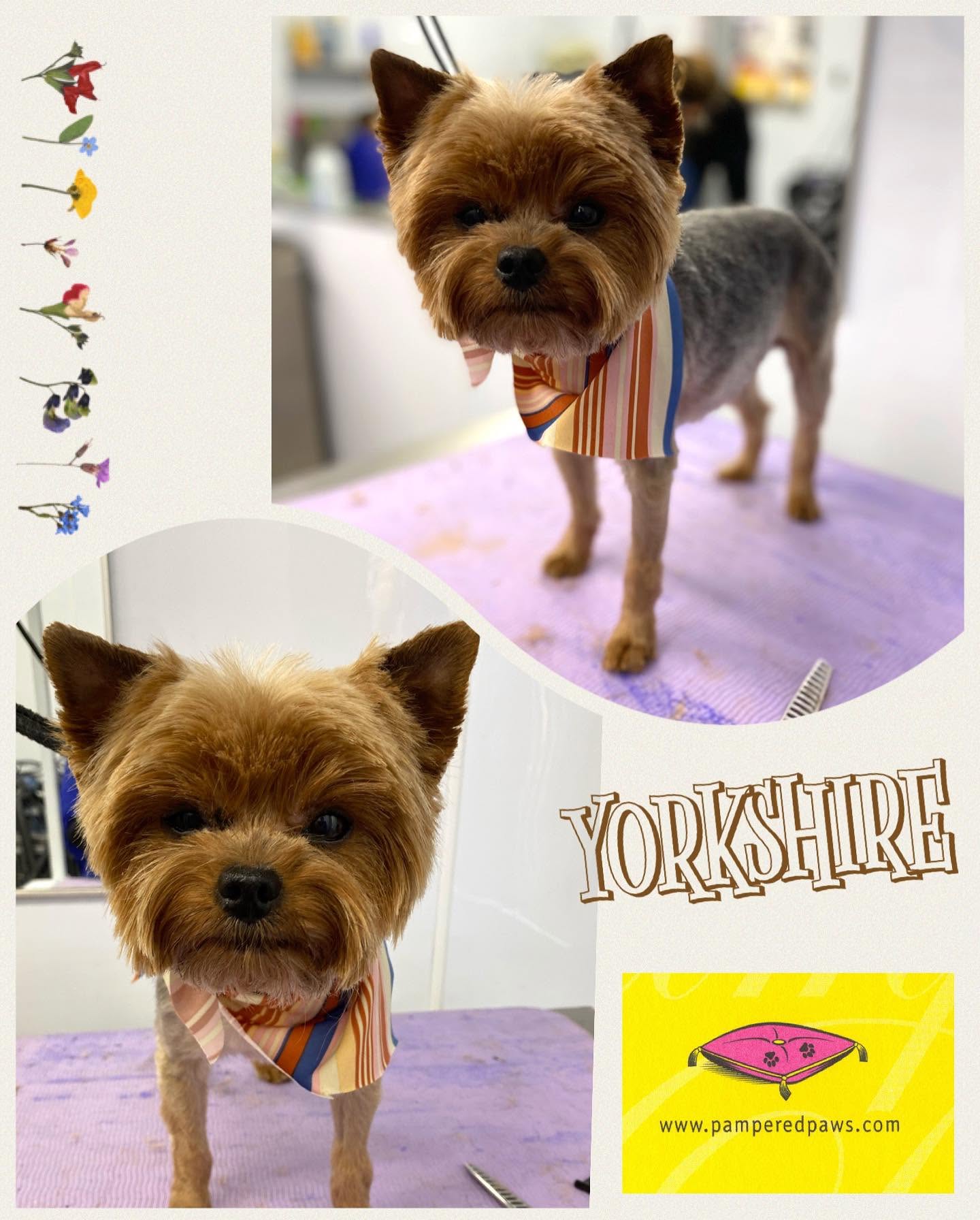 Yorkshire